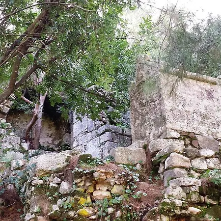 Papatya Bungalow בית הארחה 3*