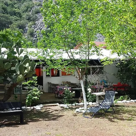 Pensiune Papatya Bungalow Kemer