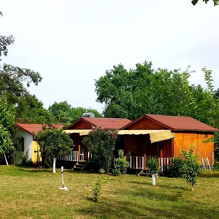 Pensiune Papatya Bungalow Kemer