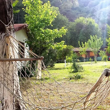 Papatya Bungalow كمر